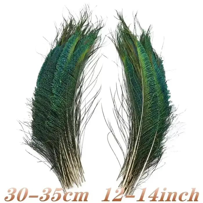 Plumes de paon naturelles réelles, pour Vases de décoration, artisanat, longues et grandes plumes, d