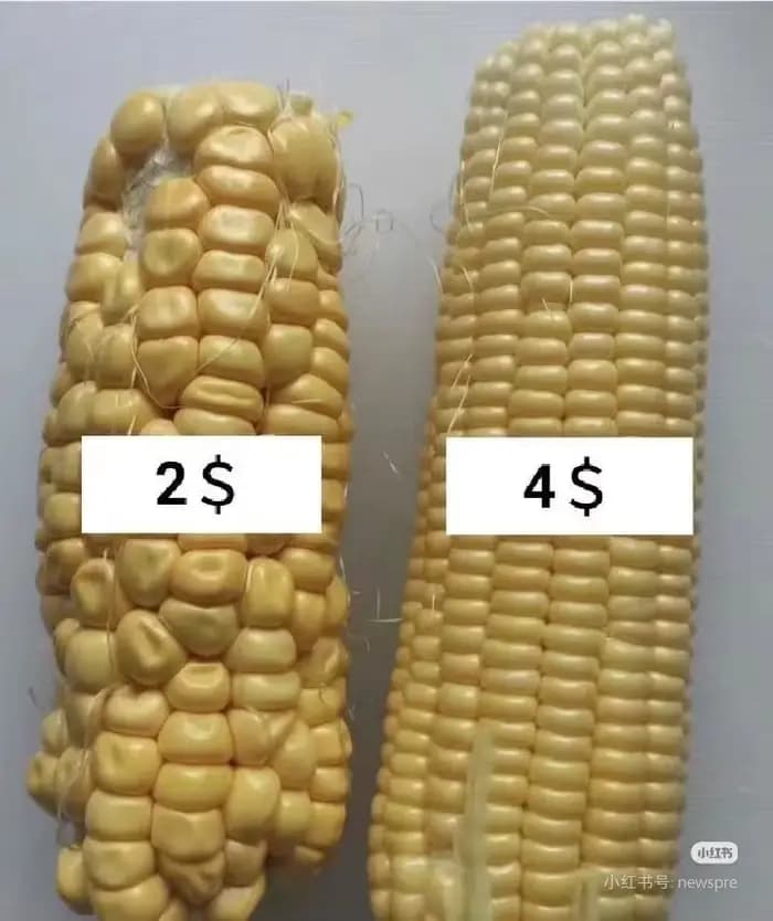 Comblez la différence