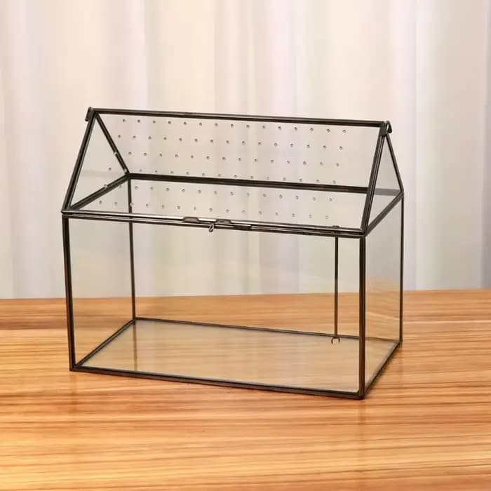 Boîte terrarium en verre pour exposition plantes, conception en verre transparent, couvercle à ouverture supérieure, 10,24