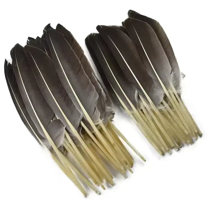 10 Plumes Naturelles de Dinde, Plumes Décoratives d'Aile de Canard, Plumes Artisanales pour Chapeaux, Vases, Aigle, Carnaval, Accessoires d'Artisanat