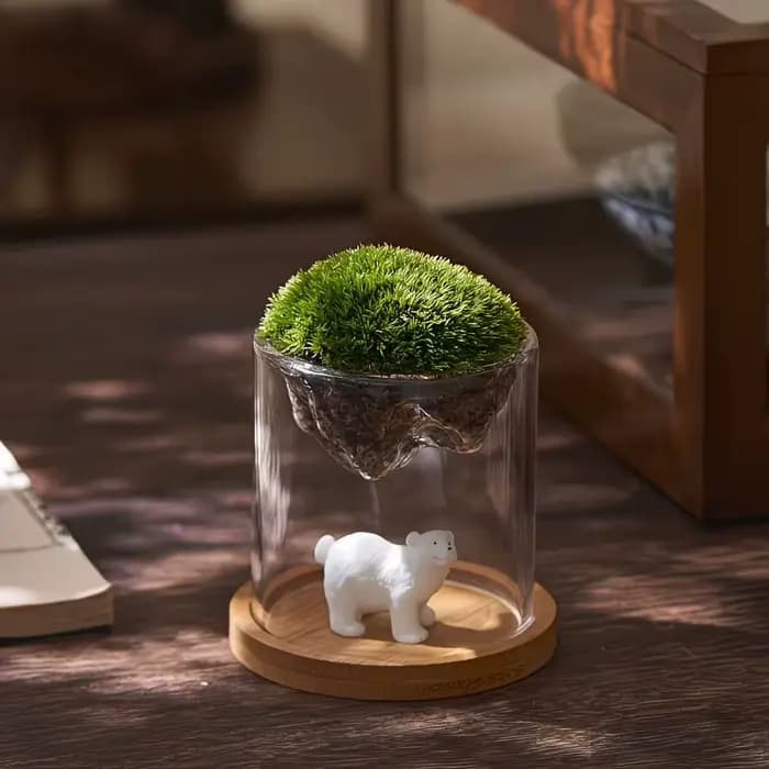 Terrarium en verre pour vues sur les montagnes, jardinière à mousse, récipient pour plantes hydroponiques, tasse multifonctionnelle, décoration de la maison, super cadeau
