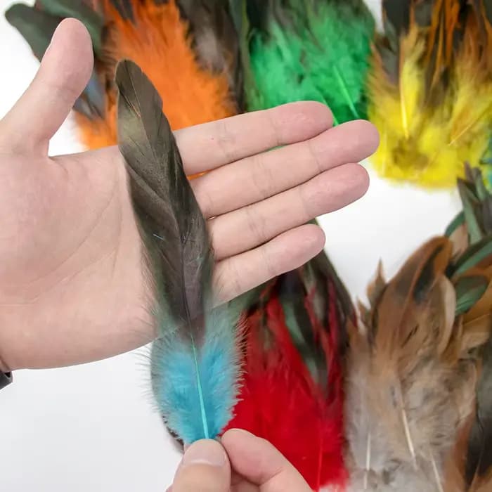 Plumes de poulet naturelles de qualité supérieure, 15-20cm, douces, moelleuses et vibrantes, pour bricolage, artisanat, Design de costumes, décoration de maison et décorations de fête