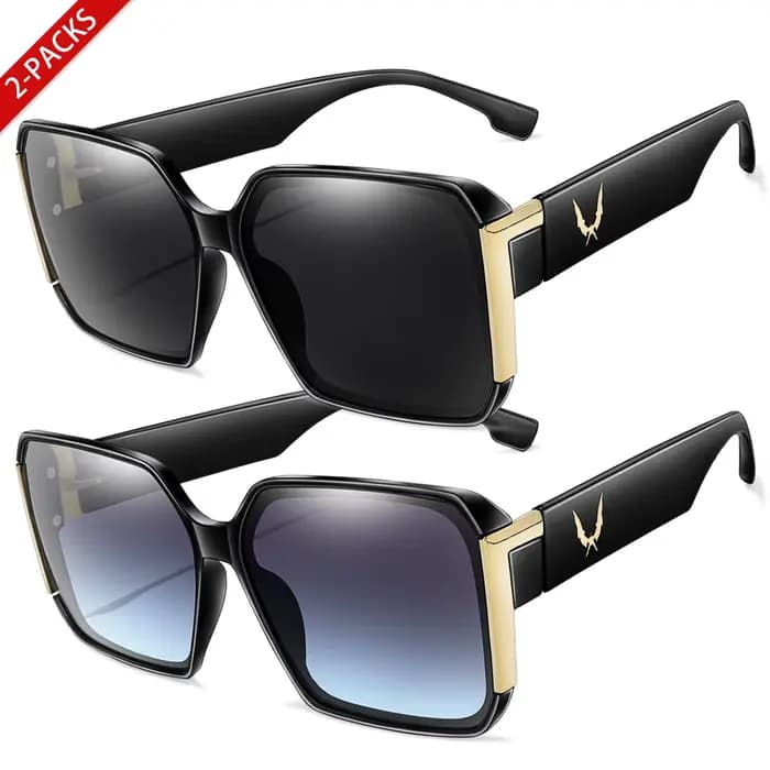 2 paires de lunettes tendance pour femmes et hommes