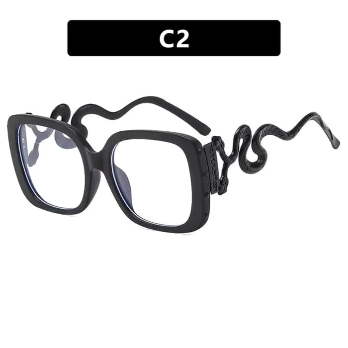 Lunettes Rétro Femme Grande Monture
