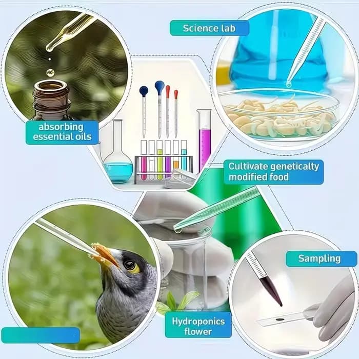 Un ensemble d'embouts compte-gouttes en verre, adapté au transfert de liquides et aux expériences scientifiques.