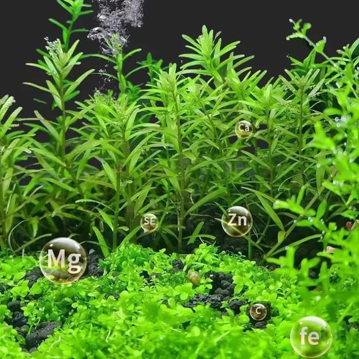 Substrat de sol d'aquarium – Gravier d'argile plantée sans décoloration pour plantes aquatiques – Idéal pour les crevettes et les aquariums nano