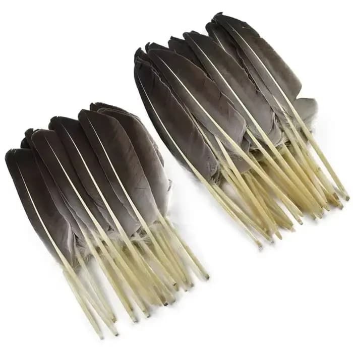 10 Plumes Naturelles de Dinde, Plumes Décoratives d'Aile de Canard, Plumes Artisanales pour Chapeaux, Vases, Aigle, Carnaval, Accessoires d'Artisanat