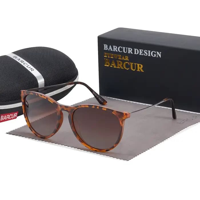 BARCUR Design classique lunettes de soleil pour hommes mode lentille polarisée en plastique titane cadre rétro femmes
