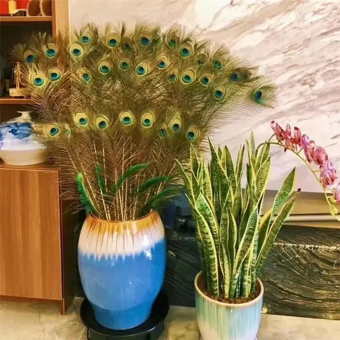 Plumes de paon naturelles réelles, pour Vases de décoration, artisanat, longues et grandes plumes, décoration de maison, Vase artisanal, accessoires de couture
