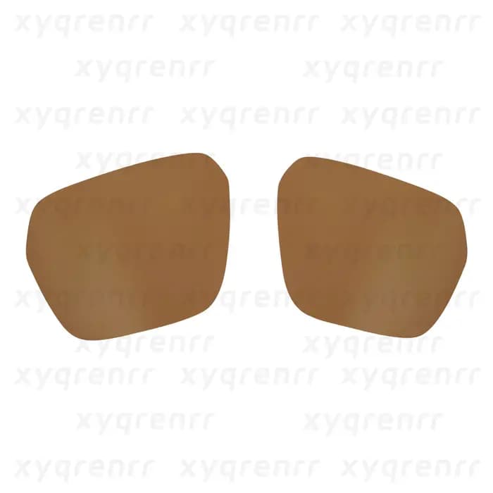 Xyqrenrr – lentille de remplacement polarisée pour lunettes de soleil Prada SPS 01x, anti-rayures | Résistant aux chocs | Ajustement parfaitement