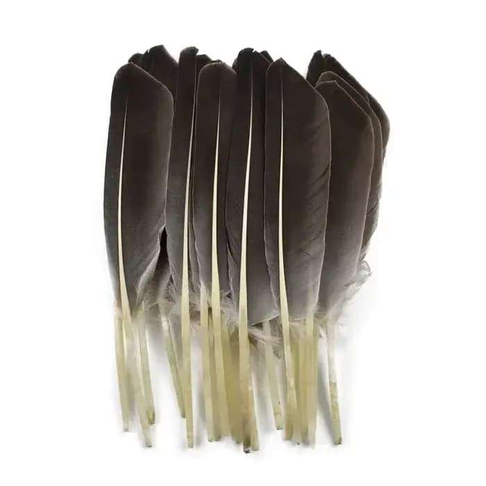 10 Plumes Naturelles de Dinde, Plumes Décoratives d'Aile de Canard, Plumes Artisanales pour Chapeaux, Vases, Aigle, Carnaval, Accessoires d'Artisanat