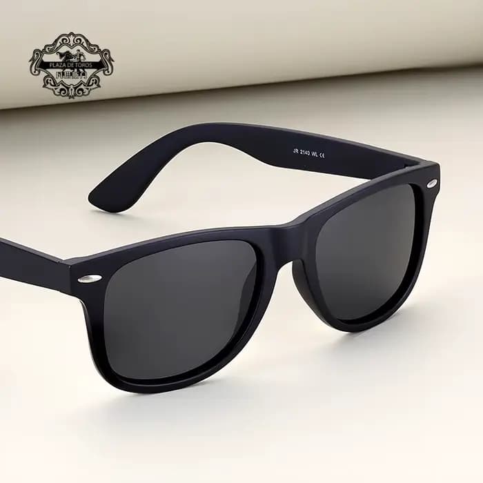 Lunettes de soleil polarisées TR pour hommes et femmes