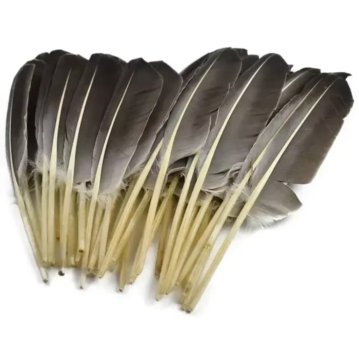 10 Plumes Naturelles de Dinde, Plumes Décoratives d'Aile de Canard, Plumes Artisanales pour Chapeaux, Vases, Aigle, Carnaval, Accessoires d'Artisanat