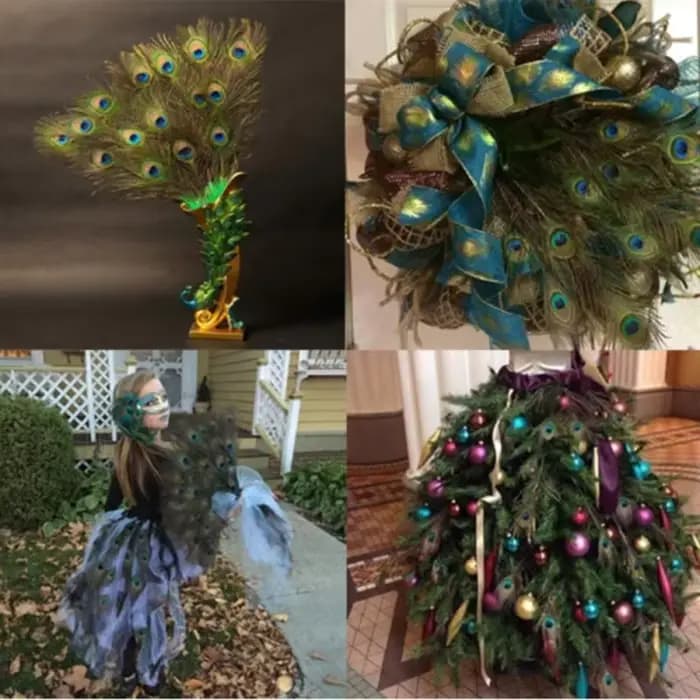 Plumes de paon naturelles pour artisanat DIY, décoration de vase, décoration de la maison, décoration de mariage, fête, Halloween, Noël, costume, performance, art DIY