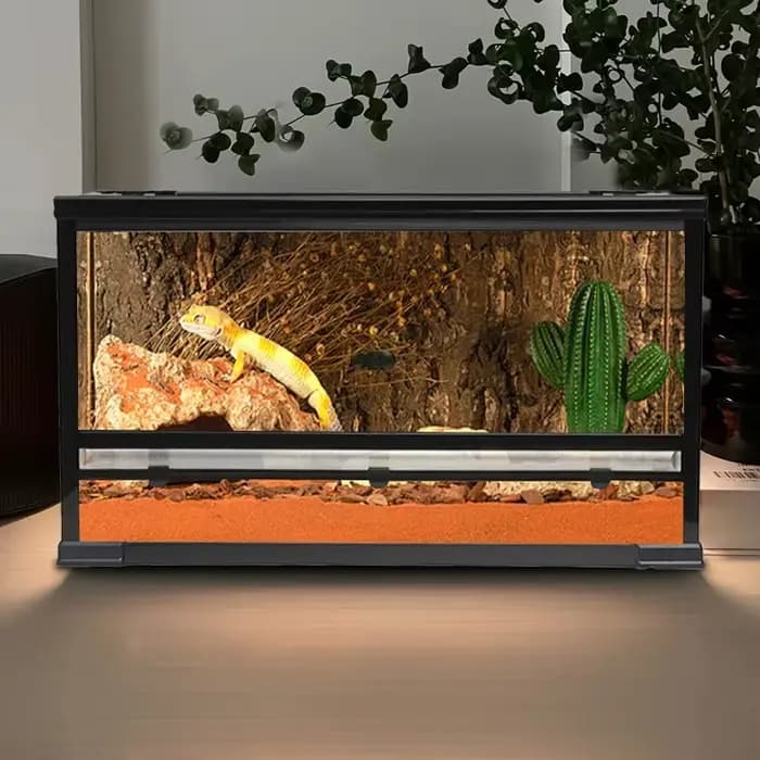 Relaxlines 60*50*100Cm Terrarium en verre étanche boîtier de Reptile Terrarium réservoir de Reptile pour l'escalade serpent pour animaux de compagnie