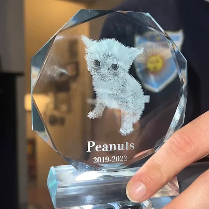 Prix Crysta gravé au laser personnalisé, récompense de l'employé, appréciation réaliste, pour le gestionnaire, avec gravure au laser, merci