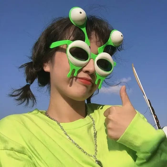 Lunettes de soleil amusantes INS