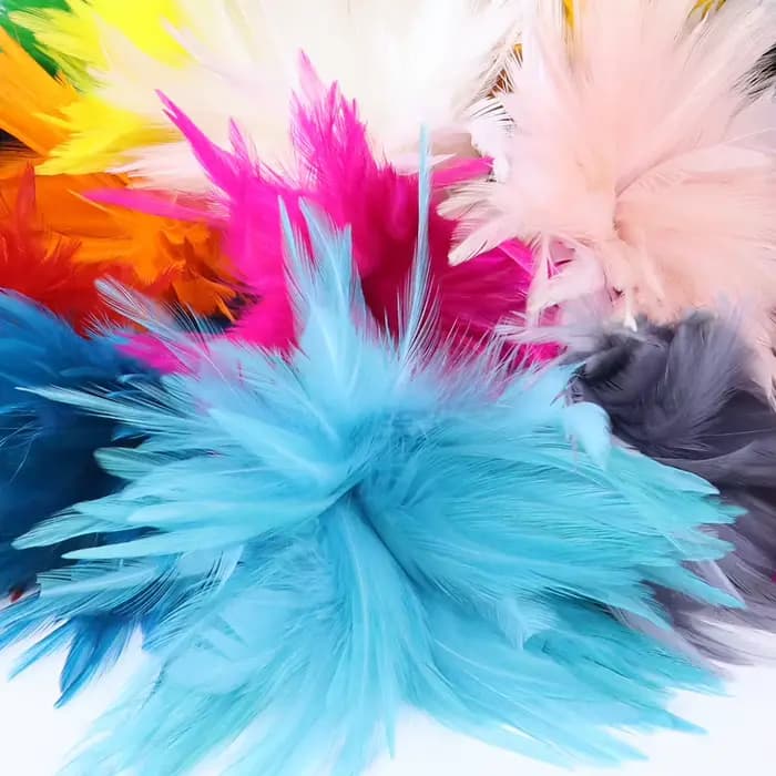 100 Plumes de Coq Naturelles 10-15cm, Plumes de Faisan pour Artisanat, Plumes de Pêche à la Mouche, Décoration, Accessoire de Couture DIY