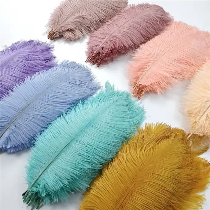 Plumes d'autruche colorées pour artisanat, décoration de mariage, accessoires artisanaux, centres de Table, décor de Plumes de carnaval, 10 pièces/lot
