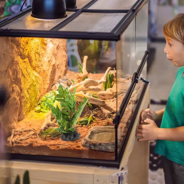 Faux Terrarium de plantes décoratives pour décoration d'habitat de lézard, décoration de Reptiles en résine