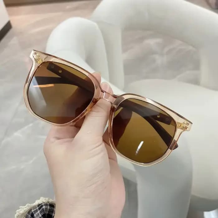 Lunettes de soleil classiques marron