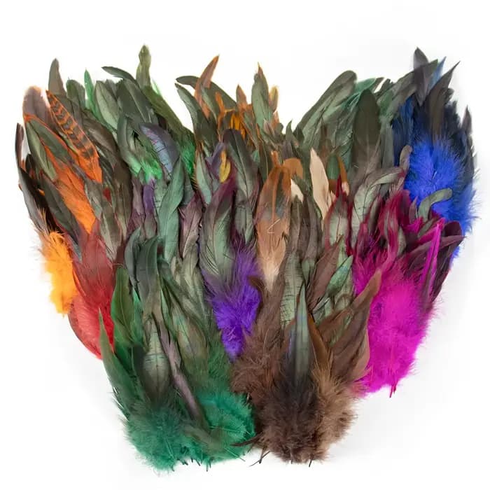 Plumes de poulet naturelles de qualité supérieure, 15-20cm, douces, moelleuses et vibrantes, pour bricolage, artisanat, Design de costumes, décoration de maison et décorations de fête