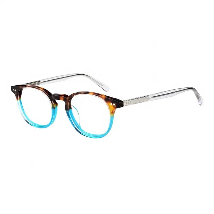 Classique épais acétate lunettes cadre Vintage rond hommes femmes dégradé cadres
