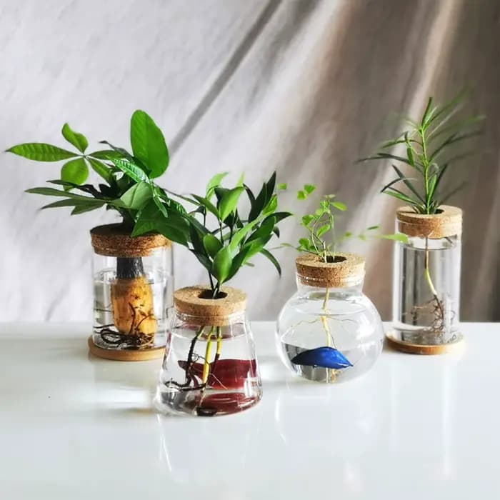 Vases en verre pour plantes hydroponiques, station de propagation, support de vase, décoration de bureau et de maison