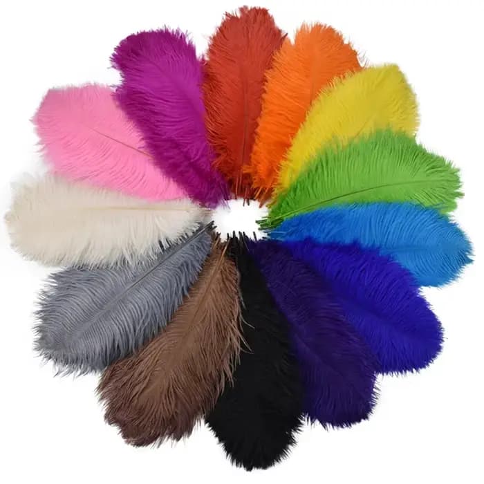Plumes d'autruche colorées pour artisanat, décoration de mariage, accessoires artisanaux, centres de Table, décor de Plumes de carnaval, 10 pièces/lot