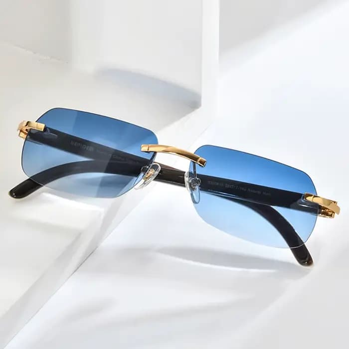 HEPIDEM lunettes en corne de buffle hommes marque célèbre Design