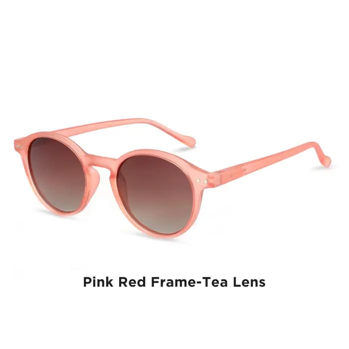 ZENOTTIC rétro lunettes de soleil polarisées 2023 2024 hommes femmes Vintage petit cadre rond