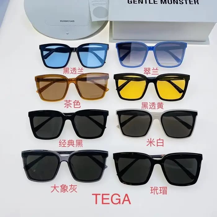 GENTLE MONSTER TEGA Lunettes de soleil de luxe en acétate pour hommes et femmes