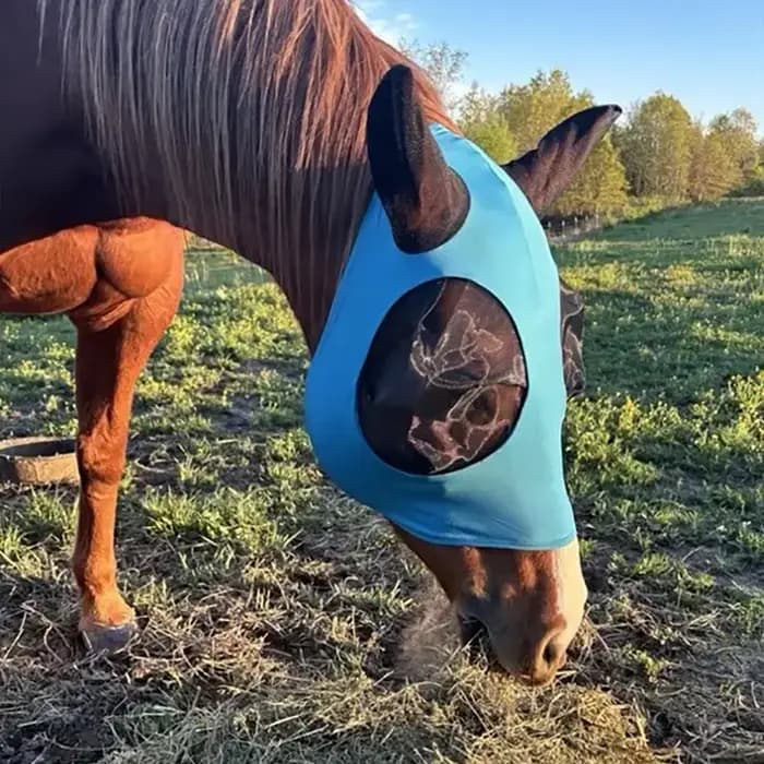  Masque anti-mouche de cheval de Protection UV, maille respirante réglable pour l'équitation, équip