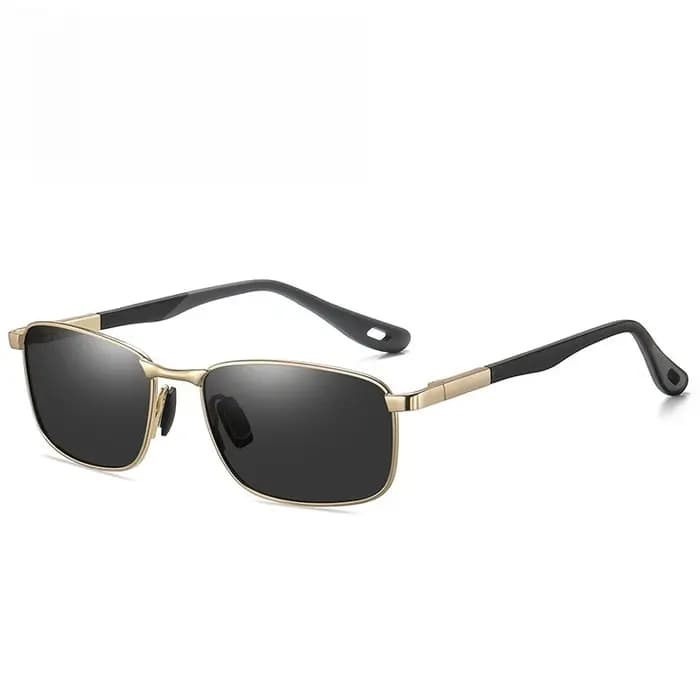 Lunettes de soleil polarisées A743 pour hommes